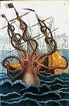 Click image for larger version

Name:	Colossal_octopus_by_Pierre_Denys_de_Montfort.jpg
Views:	377
Size:	22.1 KB
ID:	11698
