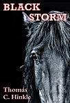 Click image for larger version

Name:	cover-Black_Storm_thumbnail.jpg
Views:	23
Size:	93.7 KB
ID:	209533