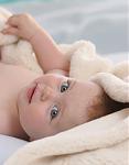 Click image for larger version

Name:	Baby.jpg
Views:	521
Size:	716.2 KB
ID:	26130