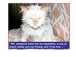 Click image for larger version

Name:	prozac cat.jpg
Views:	463
Size:	45.8 KB
ID:	30253