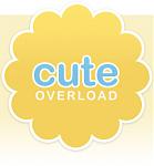 Click image for larger version

Name:	cute overload.jpg
Views:	288
Size:	27.7 KB
ID:	45057