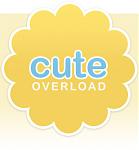 Click image for larger version

Name:	cute overload.jpg
Views:	287
Size:	27.7 KB
ID:	45057