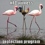 Click image for larger version

Name:	kfc-chicken-stilts-flamingos.jpg
Views:	387
Size:	40.2 KB
ID:	52675