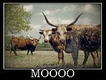 Click image for larger version

Name:	moooo-political-speeches-horns-steer-manure-politics-1334689958.jpg
Views:	478
Size:	148.3 KB
ID:	95153