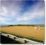 Click image for larger version

Name:	sydney-clovelly-bowling-club.jpg
Views:	228
Size:	140.1 KB
ID:	99959